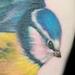 Bird tattoo Tattoo Design Thumbnail