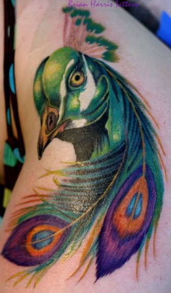 Tattoos Realistic tattoos Peacock click to view large image