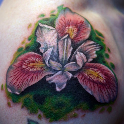 Hummingbird Tattoos - Are the