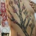 tattoo galleries/ - Cherry Blossom Tree by Brian Harris - 52305