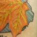 tattoo galleries/ - New Hampshire Tribute - 53420