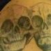 tattoo galleries/ - Siamese Twins Skeleton - 53421