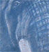 tattoo galleries/ - elephant cover up. - 18123