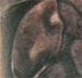 tattoo galleries/ - Mantis - 18210