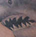 tattoo galleries/ - Shark Tattoo - 18218