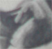 tattoo galleries/ - Marilyn portrait