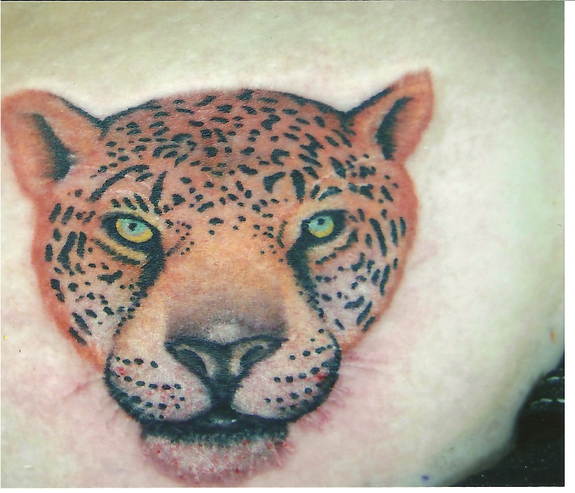 Matt Mazour - leopard