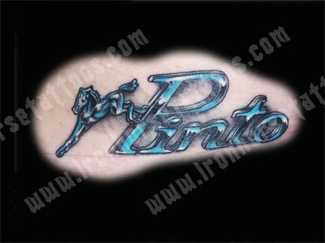 Tony Otto - Pinto