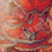 tattoo galleries/ - Red Devil Head