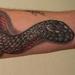 tattoo galleries/ - Realistic Snake Tattoo