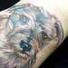 tattoos/ - portrait of dog - 61384