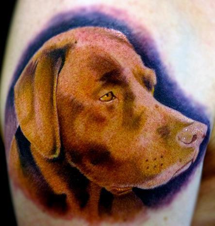 Tattoos - Chocolate Lab - 77447