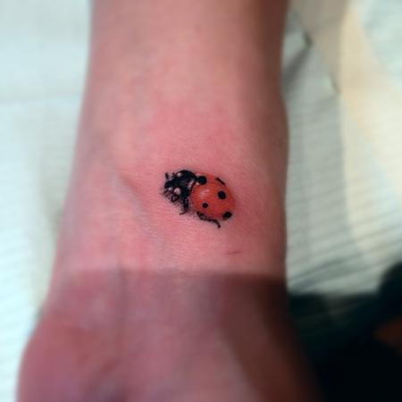 Tattoos - lady bug - 91853