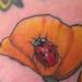 Tattoos - Poppy - 73275