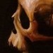 tattoos/ - Skull # 12