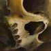 tattoos/ - Tipped Skull