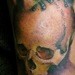 tattoos/ - lemur on skull