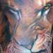tattoos/ - Photo realistic tiger tattoo