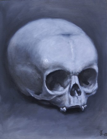 Jeff Johnson - Greyscale Skull Still Life