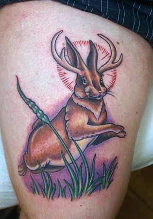 Jeff Johnson - Wess Jackalope