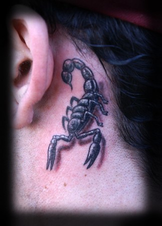 Jeff Johnson - A Lil Scorpion