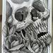 Skull and  Roses Watercolor Original Art Design Thumbnail