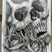 Tattoos - Skull and  Roses Watercolor - 64549