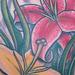 Lily Tattoo Tattoo Thumbnail