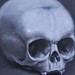 Tattoos - Greyscale Skull Still Life - 46683