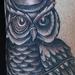 Tattoos - Gentleman Owl Tattoo - 57898