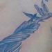 Tattoos - Feather/birds Tattoo  Cover Up - 59437
