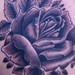 Tattoos - Randys Black n Grey Rose - 34256