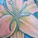 White Lily Tattoo Tattoo Thumbnail