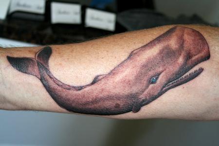 Jeff Norton - Sperm Whale