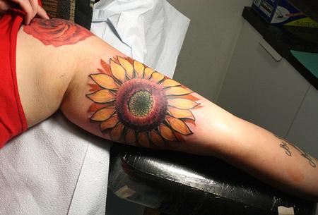 Jeff Norton - Sunflower 
