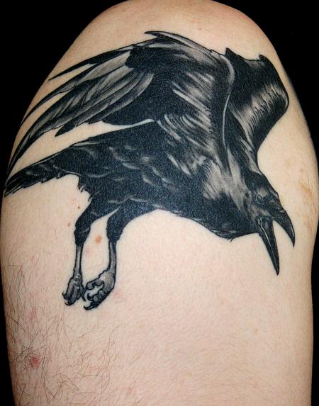 Jeff Norton Tattoos : Tattoos : Realistic : Black and grey Crow