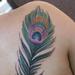 Tattoos - Peacock Feather Tattoo  - 74926