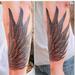 Tattoos - Wing wrapping around forearm  - 75115