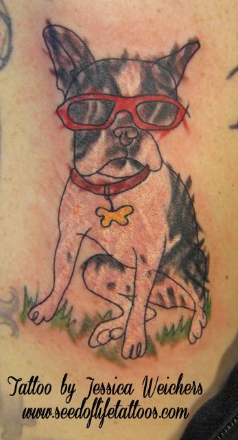 Jessica Weichers - Boston Terrier with Sunglasses