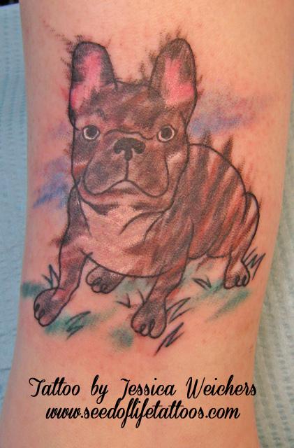 Jessica Weichers - French Bulldog