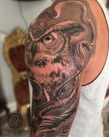 Jose Perez Jr - Owl and Branches
