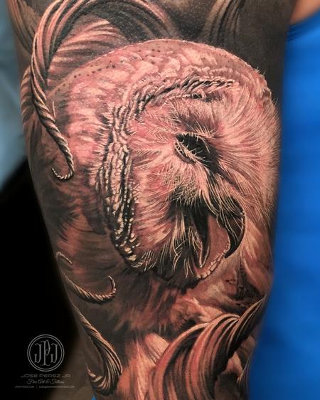 Jose Perez Jr - Barn Owl and Branch Texture