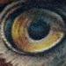 Eagle Tattoo Tattoo Thumbnail