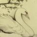 Twin Swans Original Art Design Thumbnail
