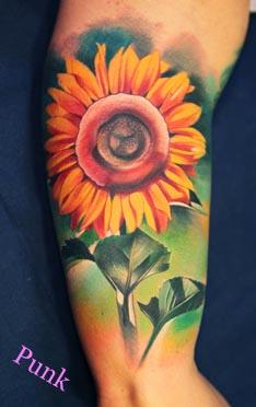 Punk - Sunflower