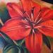 Tattoos - Lily Flower - 72872