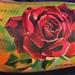 Rose with text Tattoo Design Thumbnail