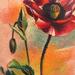 Poppy Flower Tattoo Thumbnail