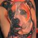 Tattoos - Dog Portrait - 73909