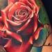 Tattoos - Rose color tattoo - 59884